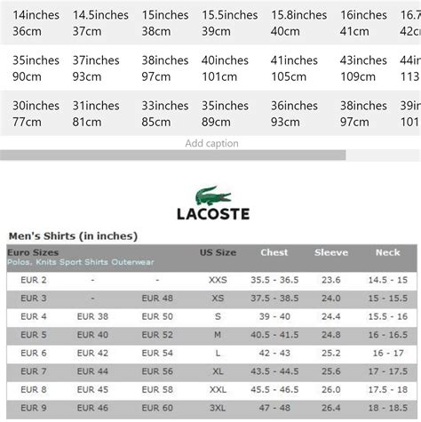 lacoste women's size guide